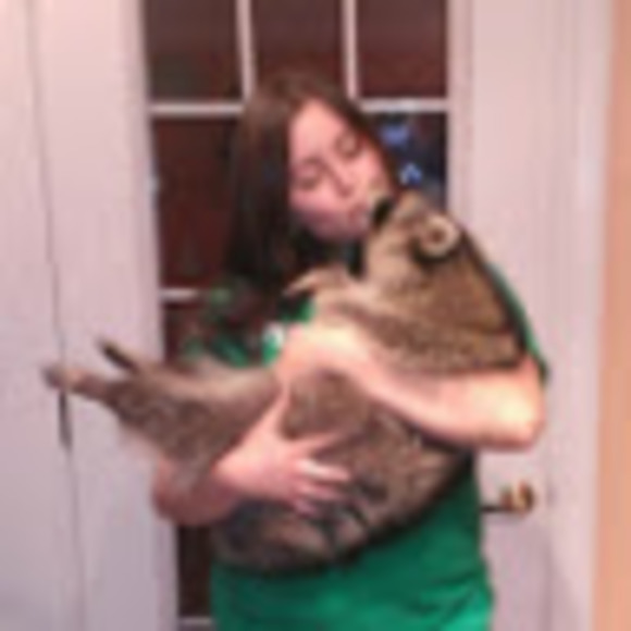 Meet your Posher, Chole - Picture 1 of 1